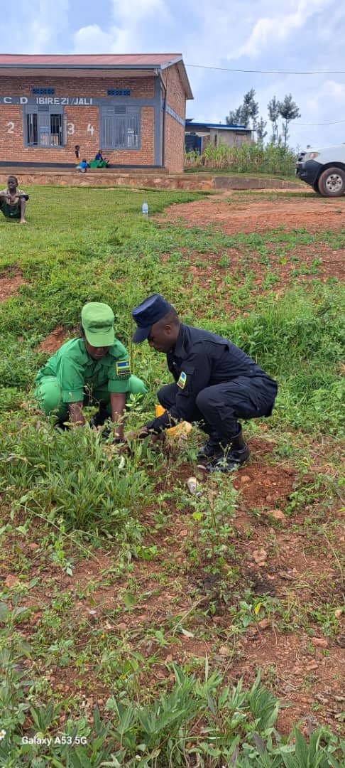 Voices of Change: Inspiring Community Impact Stories